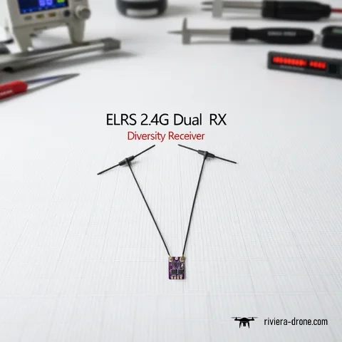 Récepteur de diversité ELRS 2.4G